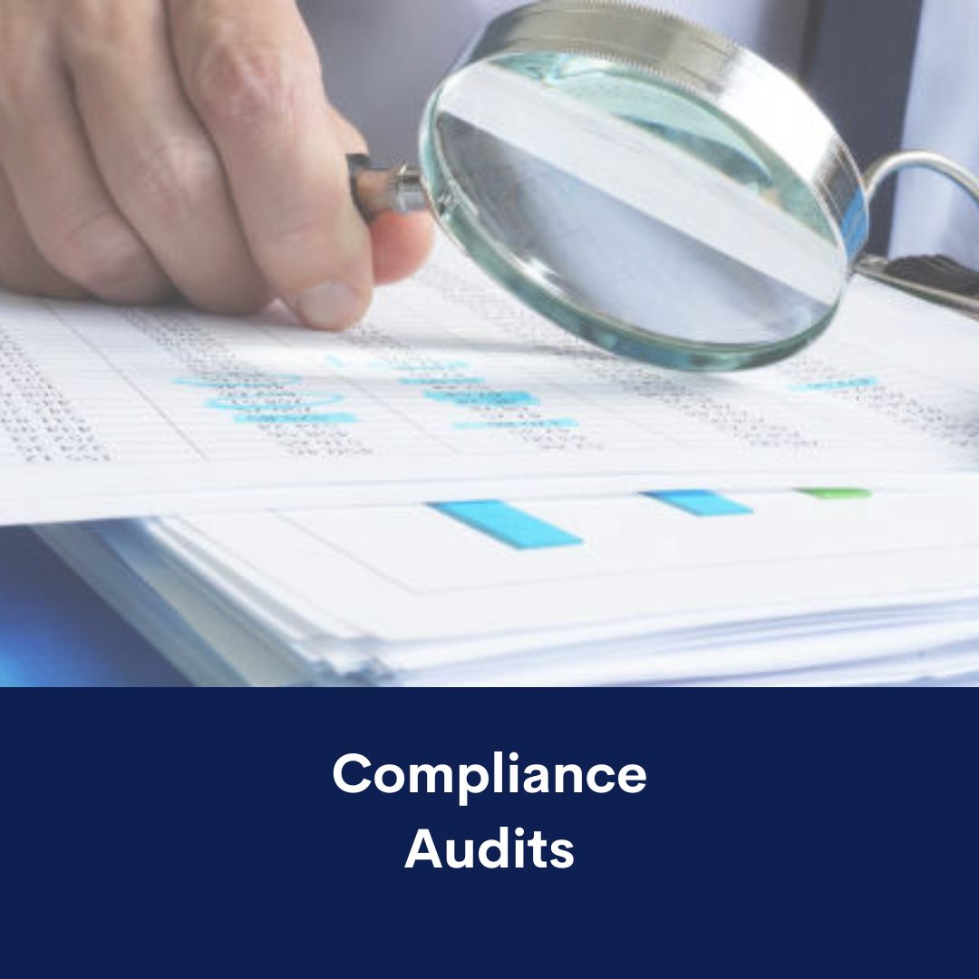 auditor compliance